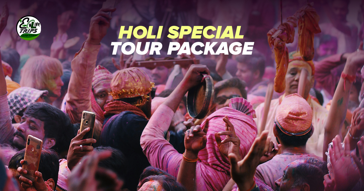 holi tour package from delhi